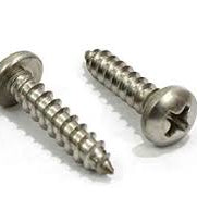 Anzor wood screw 10Gx 2