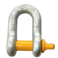 Titan  Dee shackle 1/2