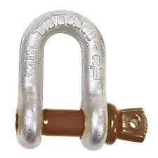 Titan Galvanised D Shackle, 1