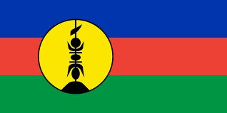 Flag - courtesey New Caledonia 45x 30cm